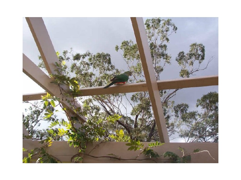 Lot 19 Tullong Road, Scone NSW 2337