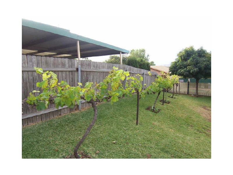 54 Cousins Street, Muswellbrook NSW 2333