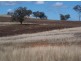 400 Tunbridge Road, Merriwa NSW 2329