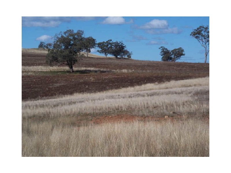 400 Tunbridge Road, Merriwa NSW 2329