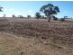 400 Tunbridge Road, Merriwa NSW 2329