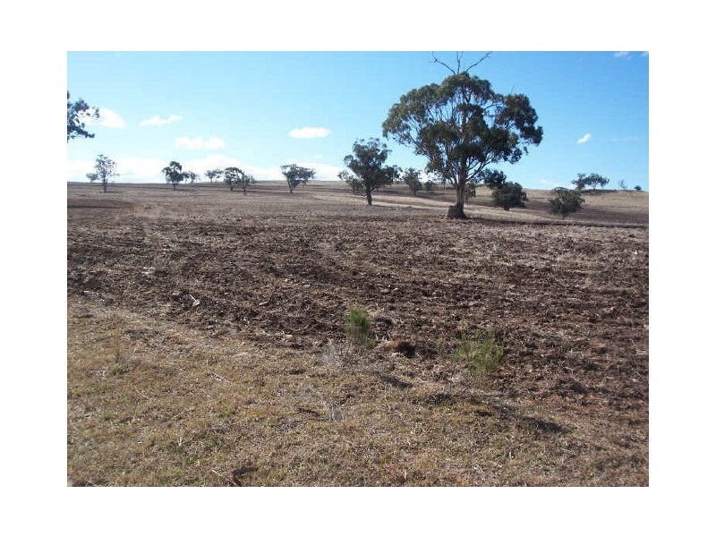 400 Tunbridge Road, Merriwa NSW 2329
