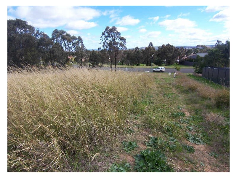 55a Queen Street, Muswellbrook NSW 2333