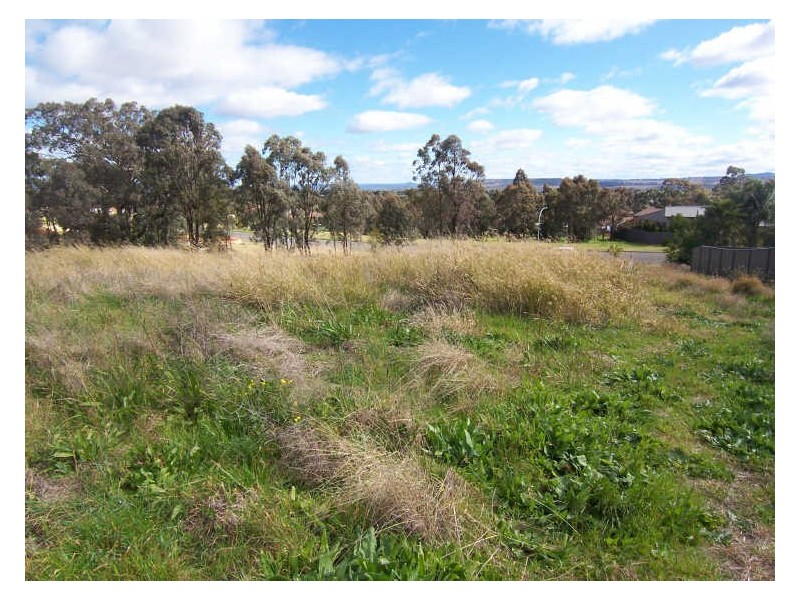 55a Queen Street, Muswellbrook NSW 2333