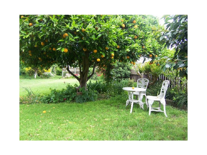 58 Ford Street, Muswellbrook NSW 2333