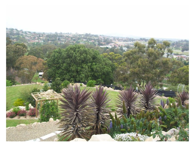 Lot 3 Coal Road, Muswellbrook NSW 2333