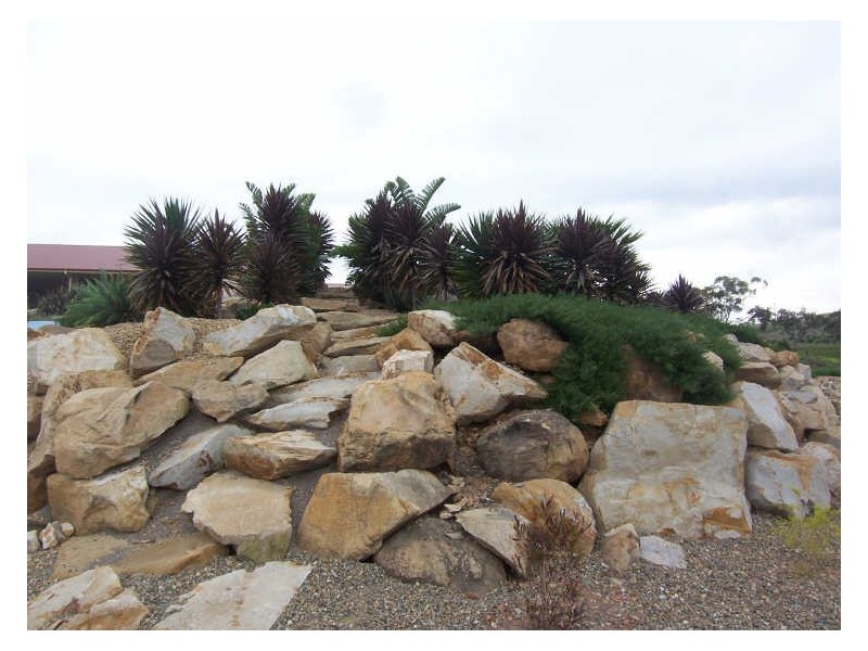 Lot 3 Coal Road, Muswellbrook NSW 2333