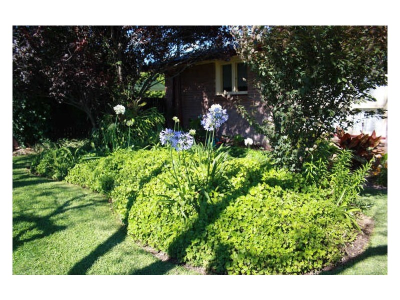 2 Bingle Street, Scone NSW 2337