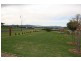 29 Kookaburra Avenue, Scone NSW 2337