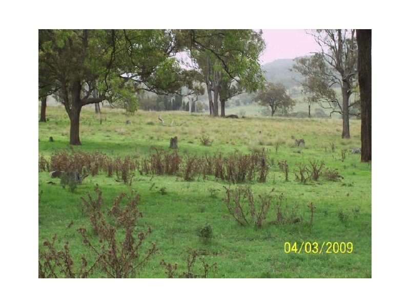 750 Muscle Creek Road, Muswellbrook NSW 2333