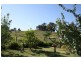 750 Muscle Creek Road, Muswellbrook NSW 2333