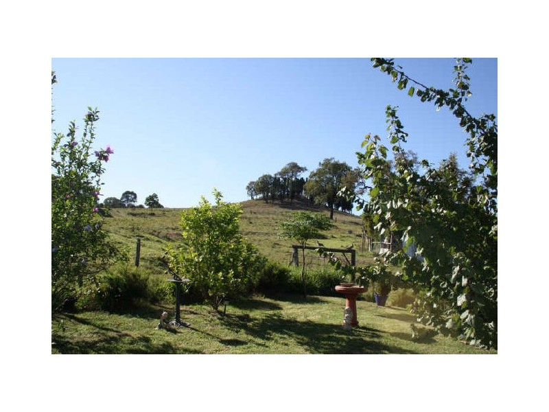 750 Muscle Creek Road, Muswellbrook NSW 2333