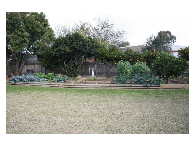 22 Cassidy Avenue, Muswellbrook NSW 2333