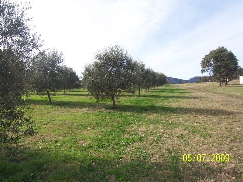 210 Inglewood Road, Muscle Creek NSW 2333