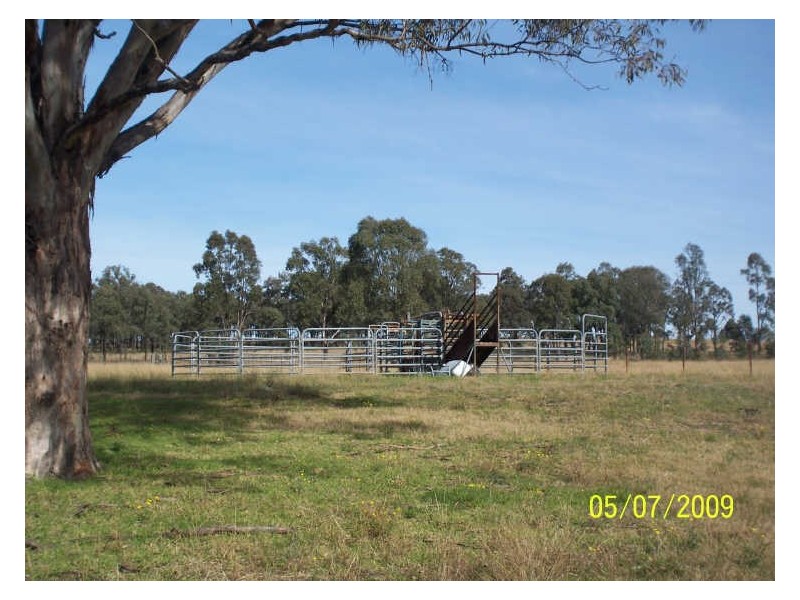 210 Inglewood Road, Muscle Creek NSW 2333