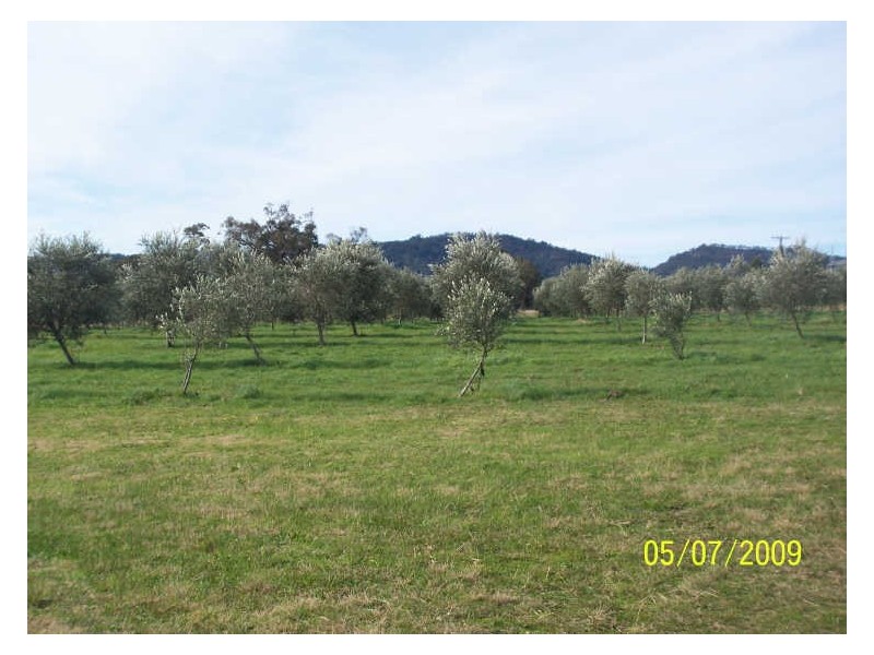 210 Inglewood Road, Muscle Creek NSW 2333