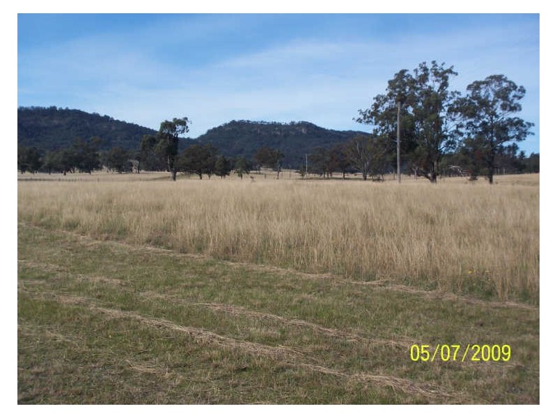 210 Inglewood Road, Muscle Creek NSW 2333