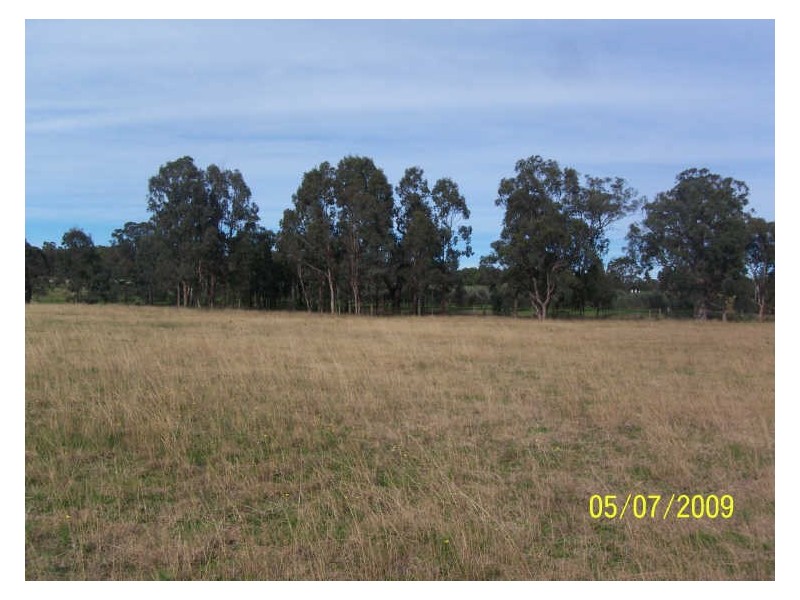 210 Inglewood Road, Muscle Creek NSW 2333