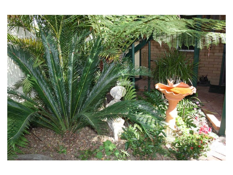 37 Carl Street, Muswellbrook NSW 2333