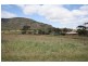 1080 Sandy Creek Road, Muswellbrook NSW 2333