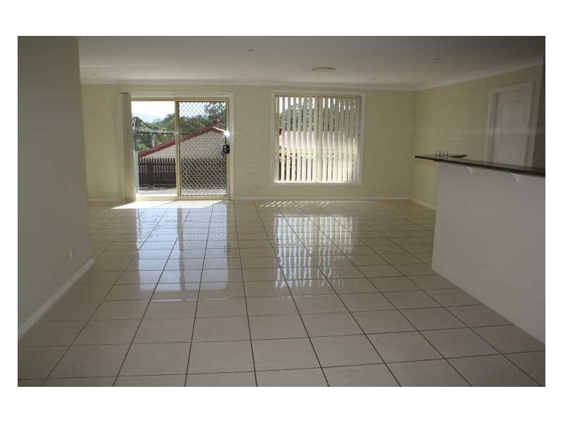 4 Lou Fisher Place, Muswellbrook NSW 2333