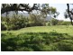 1432 Gundy Road, Scone NSW 2337