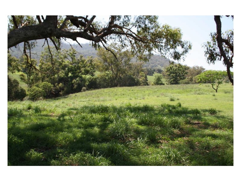 1432 Gundy Road, Scone NSW 2337