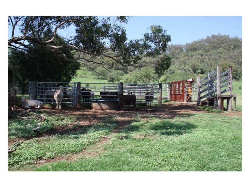 1432 Gundy Road, Scone NSW 2337