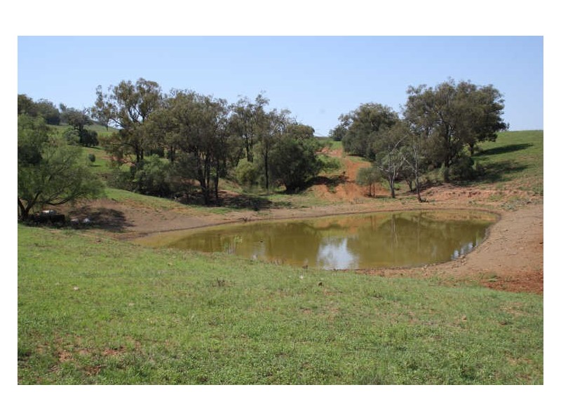 1432 Gundy Road, Scone NSW 2337