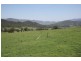1432 Gundy Road, Scone NSW 2337