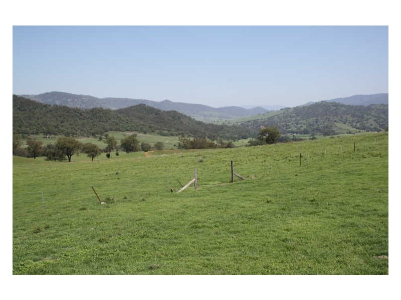 1432 Gundy Road, Scone NSW 2337