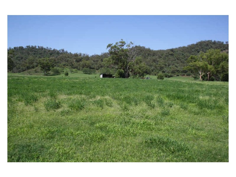 1432 Gundy Road, Scone NSW 2337