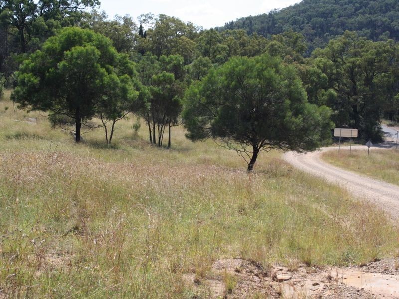 727 Worondai Creek Road, Gungal NSW 2333