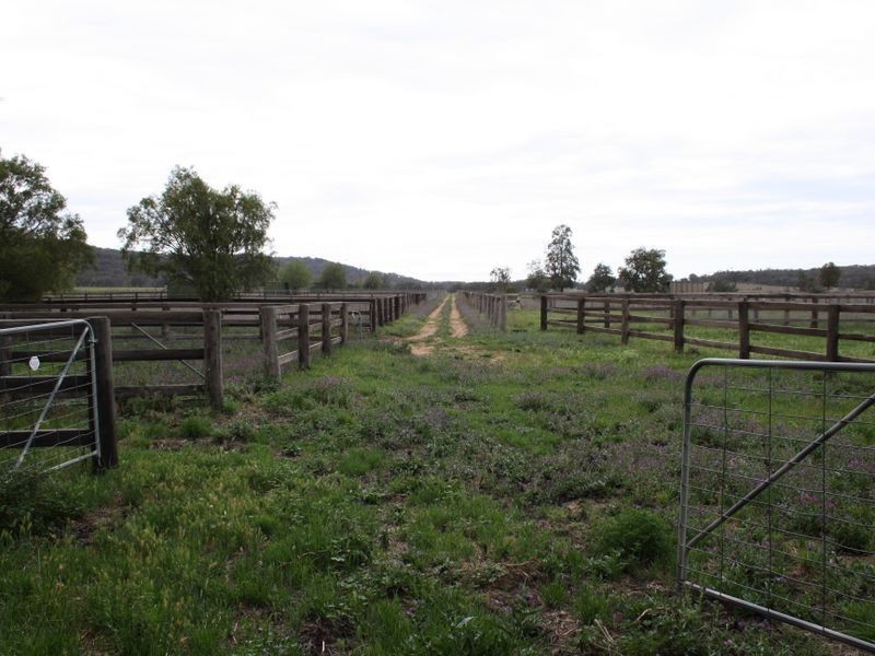 390 Westwood Road, Merriwa NSW 2329