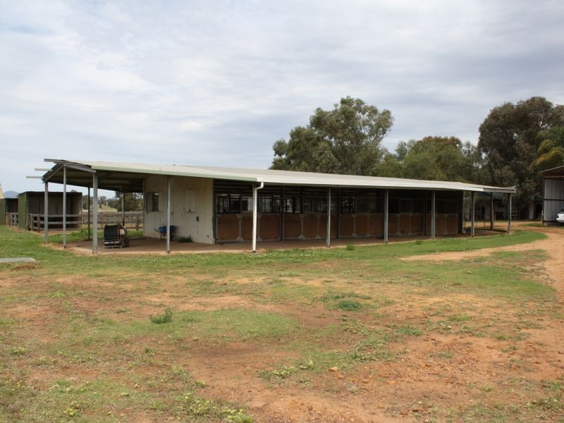 390 Westwood Road, Merriwa NSW 2329