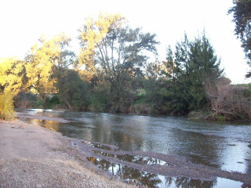 1432 Gundy Road Homestead, Scone NSW 2337