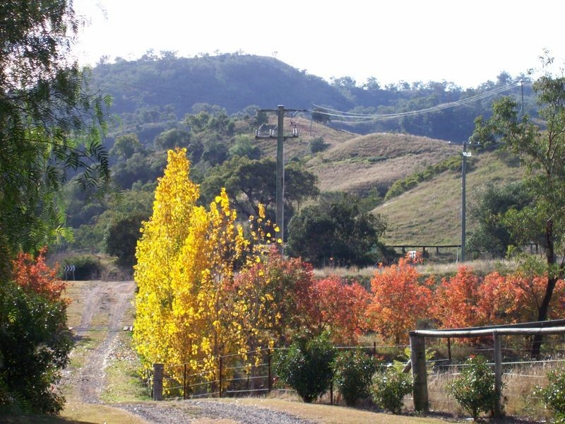 1432 Gundy Road Homestead, Scone NSW 2337