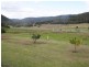 109 Giants Creek Road, Sandy Hollow NSW 2333