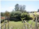 52 Cousins Street, Muswellbrook NSW 2333
