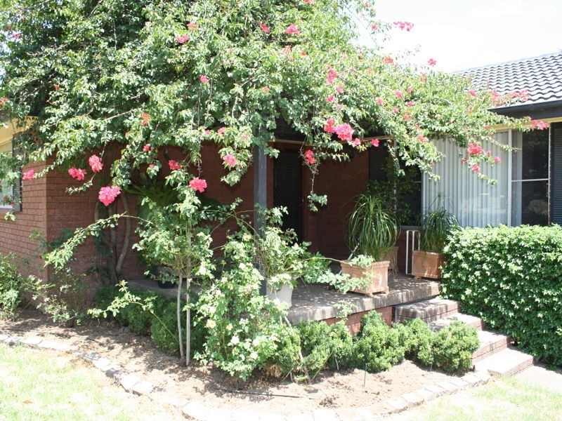 20 Chardonnay Street, Muswellbrook NSW 2333