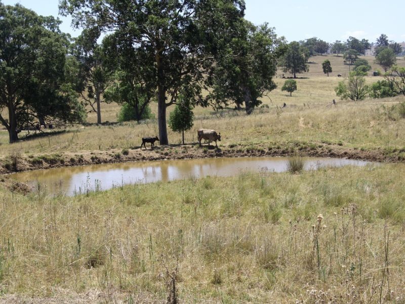 1047 Castle Rock Road, Muswellbrook NSW 2333