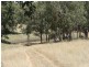 1047 Castle Rock Road, Muswellbrook NSW 2333
