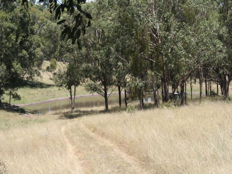 1047 Castle Rock Road, Muswellbrook NSW 2333