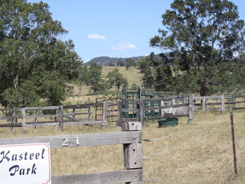 1047 Castle Rock Road, Muswellbrook NSW 2333