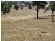 1047 Castle Rock Road, Muswellbrook NSW 2333