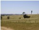 1047 Castle Rock Road, Muswellbrook NSW 2333