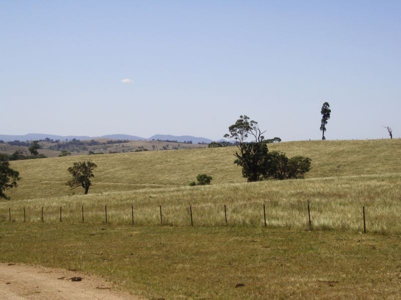 1047 Castle Rock Road, Muswellbrook NSW 2333