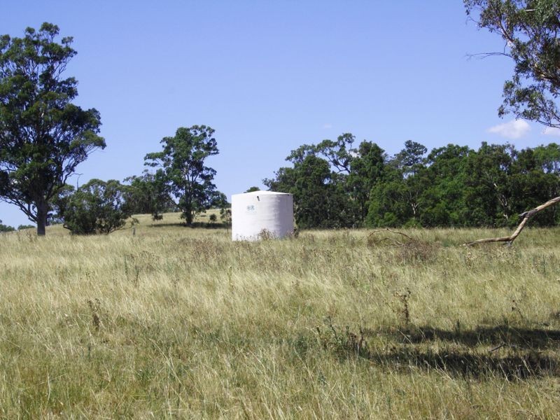 1047 Castle Rock Road, Muswellbrook NSW 2333