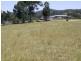 1047 Castle Rock Road, Muswellbrook NSW 2333