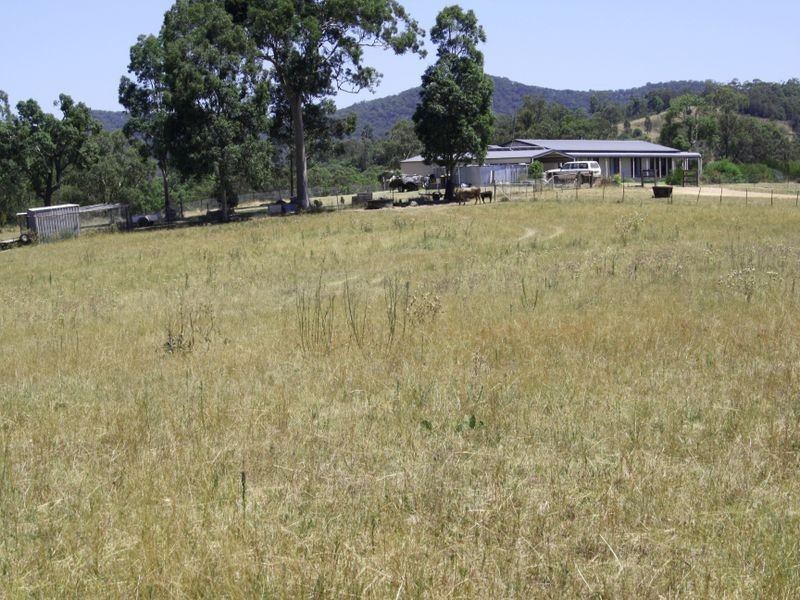 1047 Castle Rock Road, Muswellbrook NSW 2333